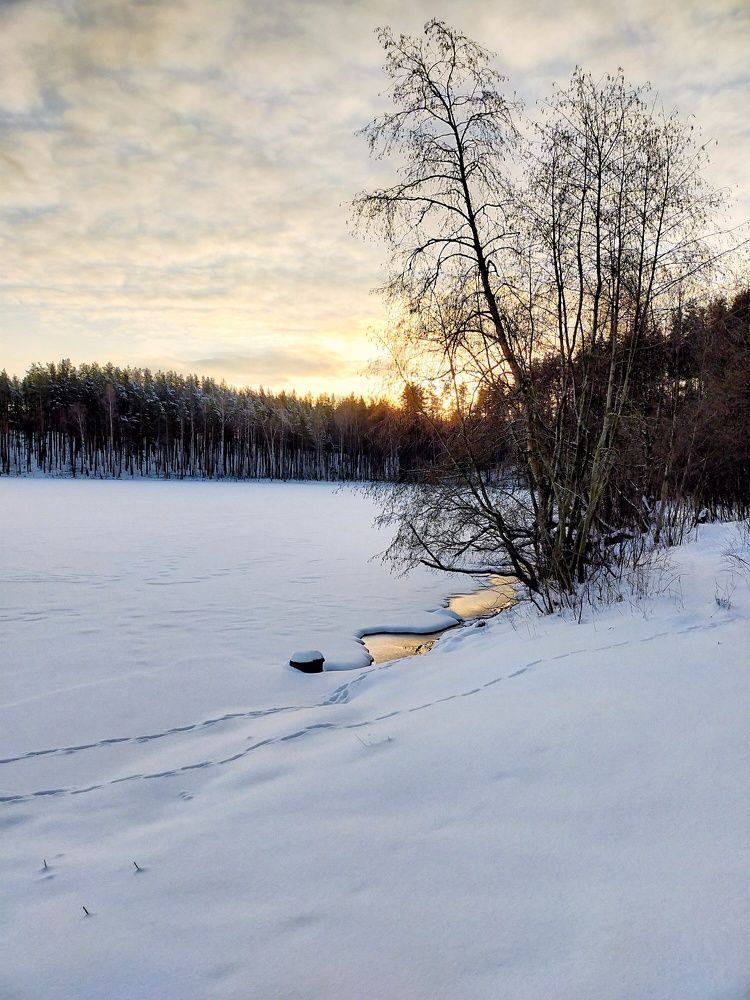 Photograph by Федорова Мария