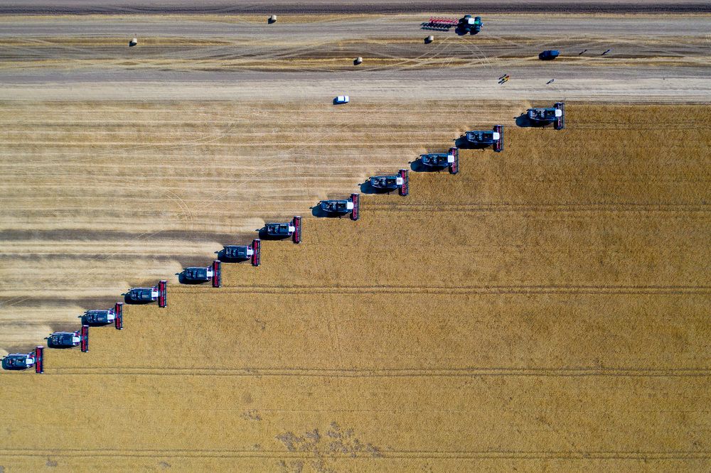 Photograph by Татьяна Неларина