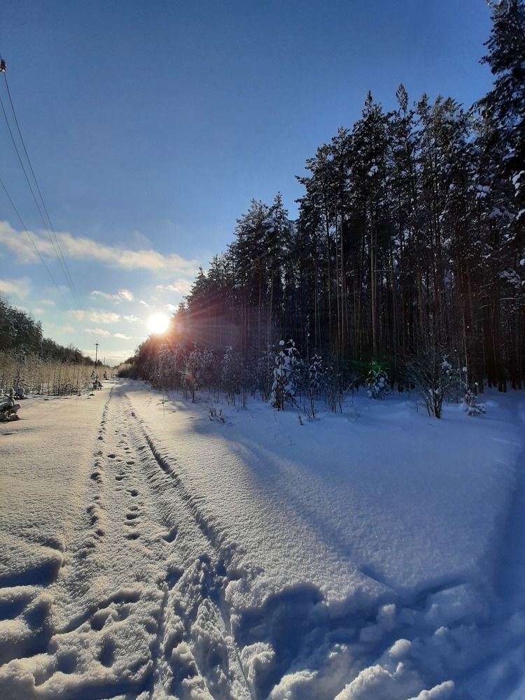 Photograph by Алексей