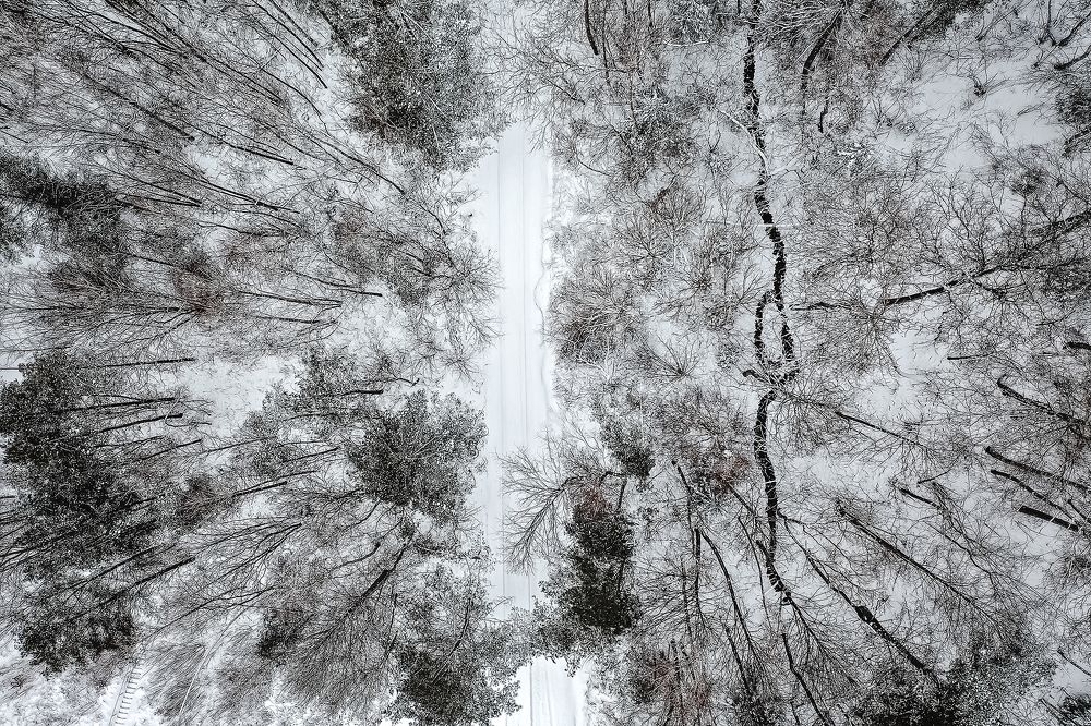 Photograph by Sandra Degutyte