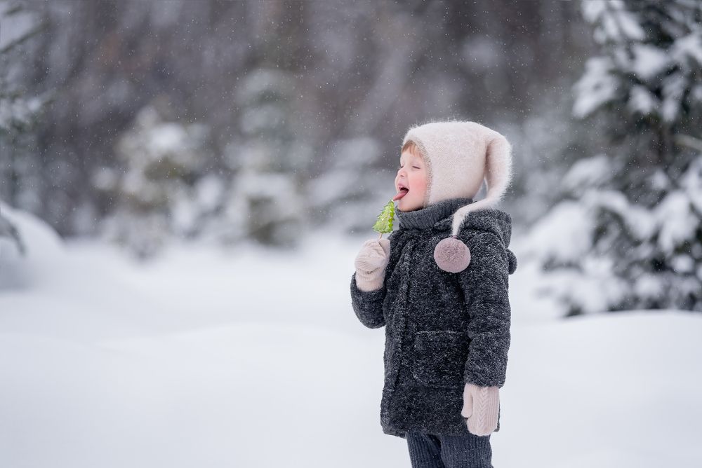 Зимняя сказка