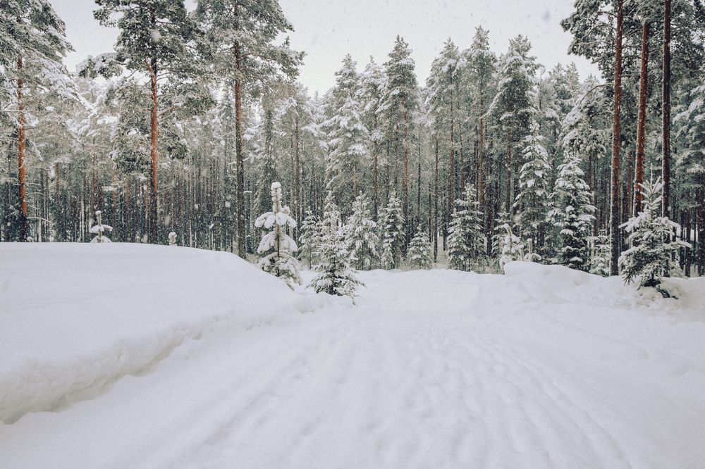 Photograph by Юлия Егорова