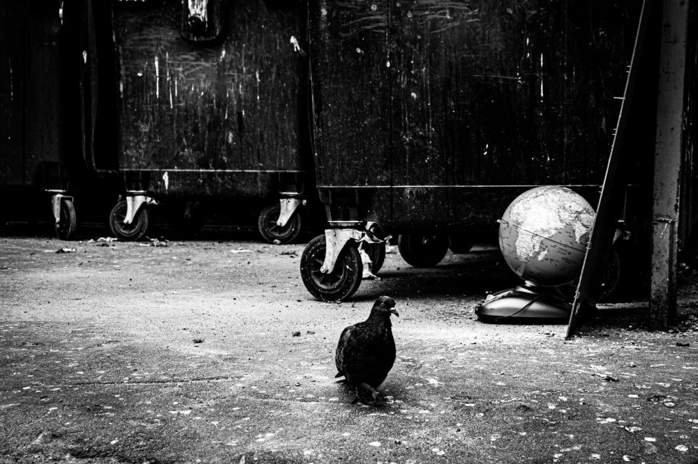 Photograph by Андрей Королев