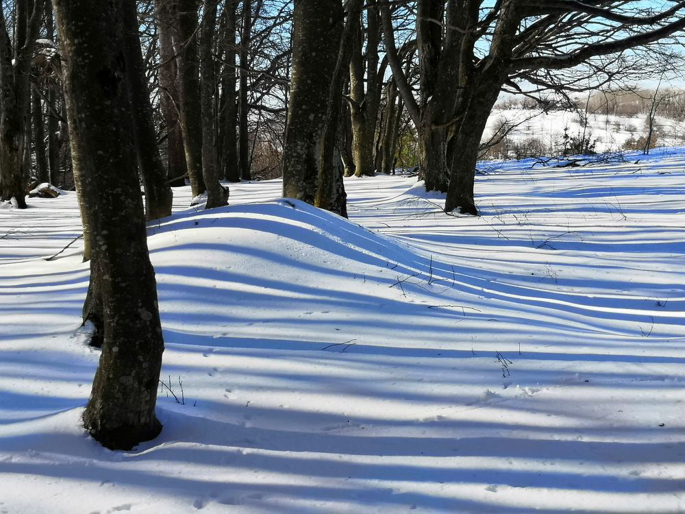 Photograph by Светлана Борозенцева