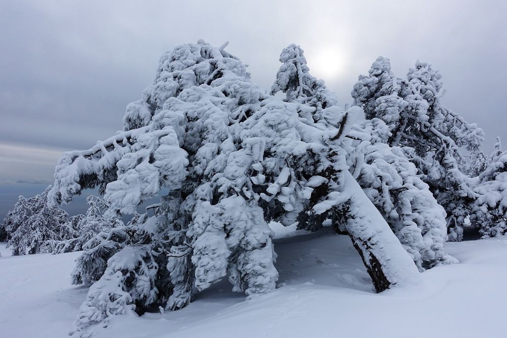 Photograph by Светлана Борозенцева