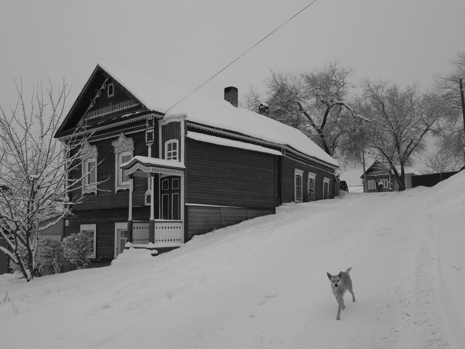 Photo #7146817