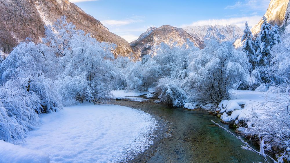 Фотография автора ROMAN Wieckowski