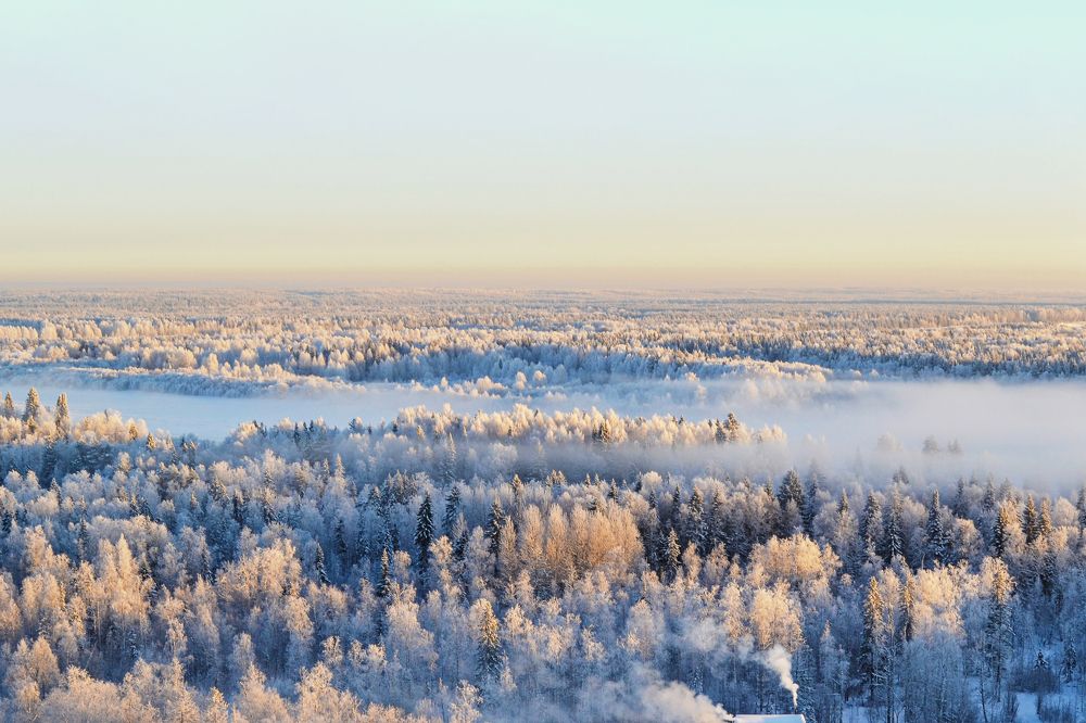 Photograph by Светлана Чебыкина