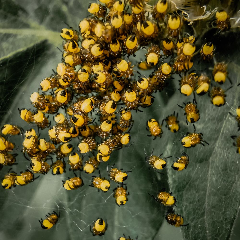 Фотография автора Дмитрий