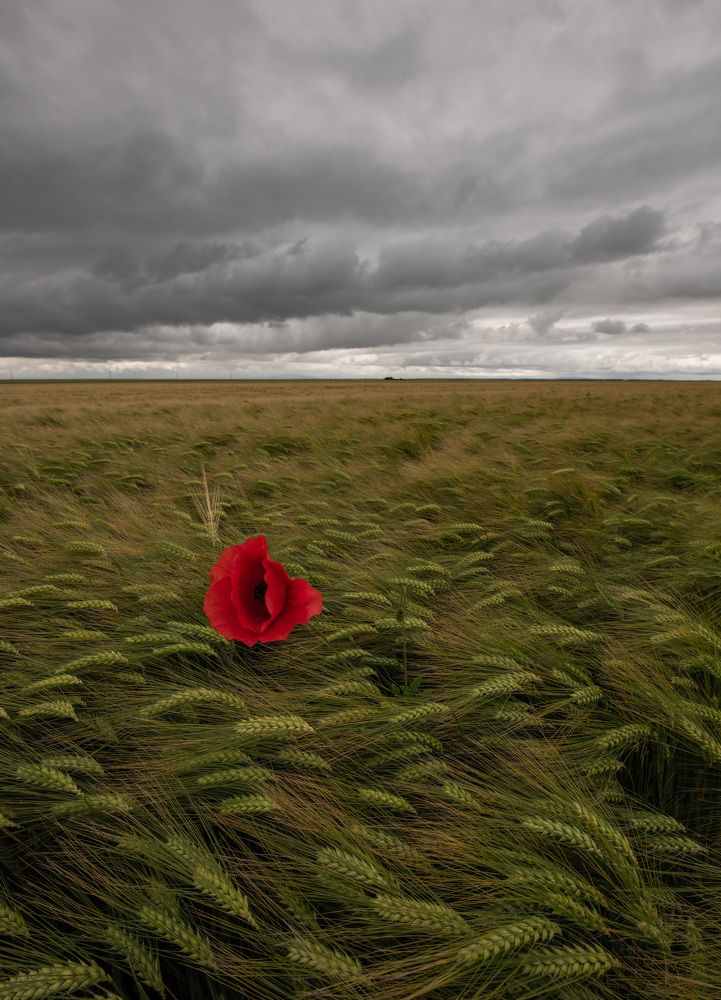 Фотография автора Konstantin Vladov