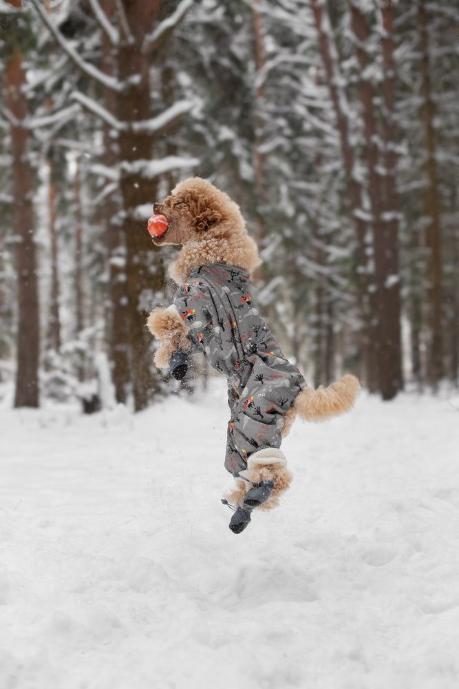 Photograph by Курашкина Анна