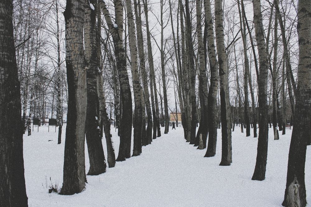 Photograph by Карина Терентьева