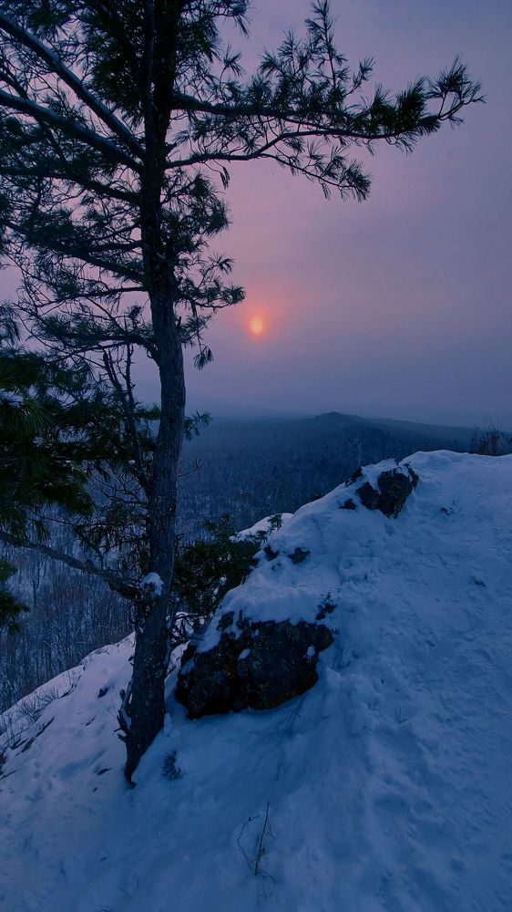 Photograph by Speed Girl