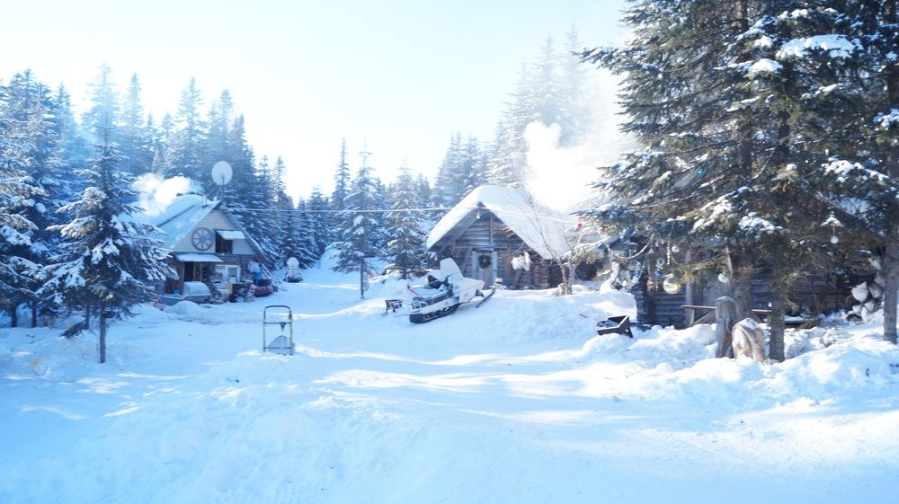 Photograph by Speed Girl