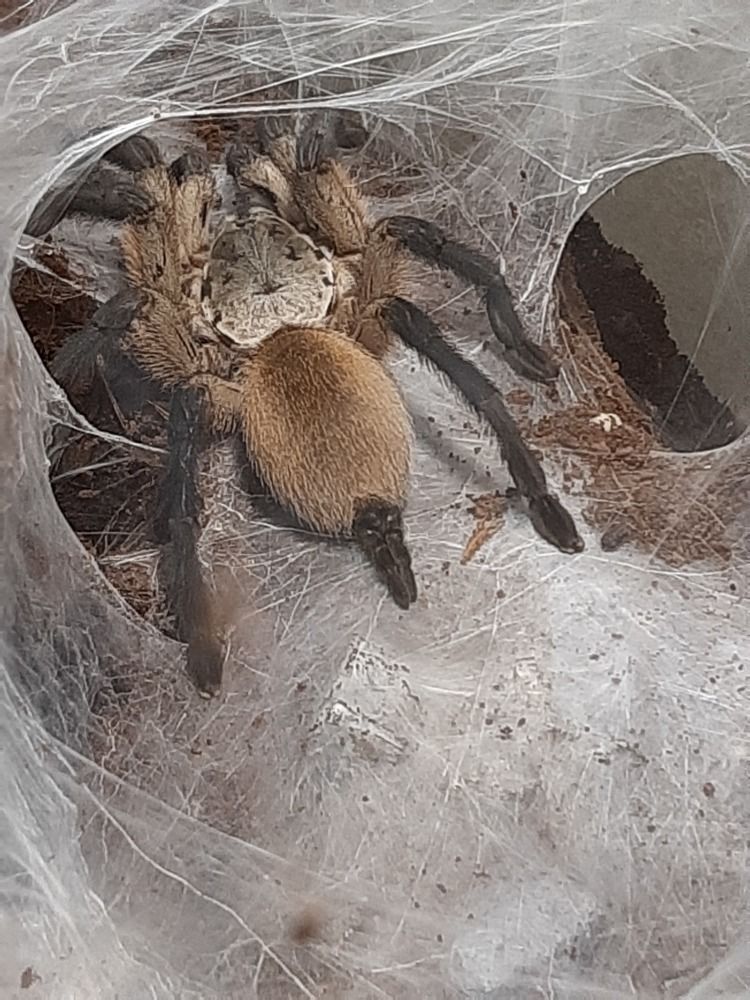 Photograph by Ольга Харламова