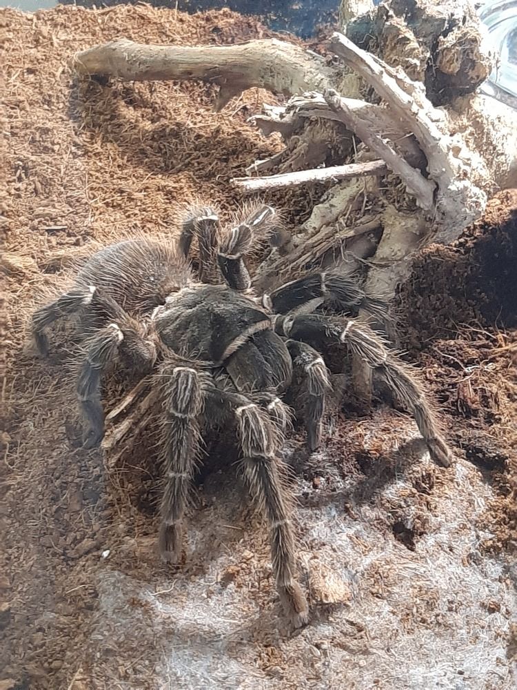 Photograph by Ольга Харламова