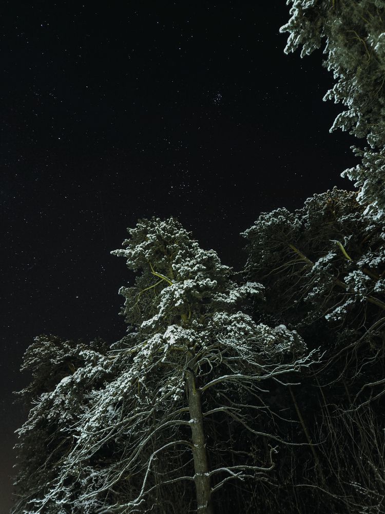 Starry night in Russian village