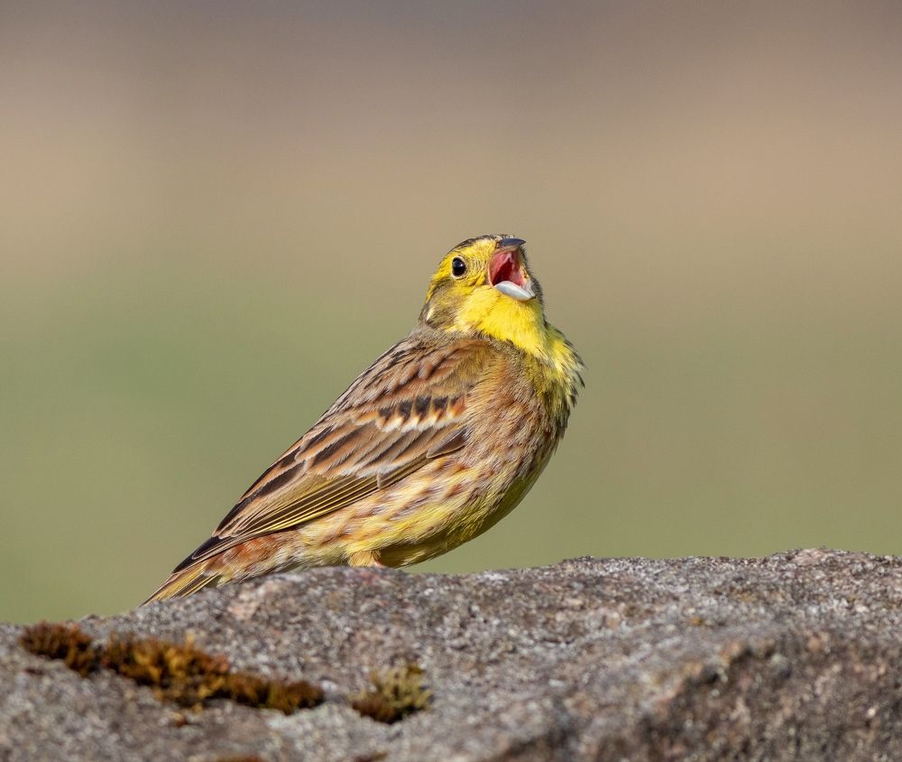 Photograph by Павел Краснослободцев