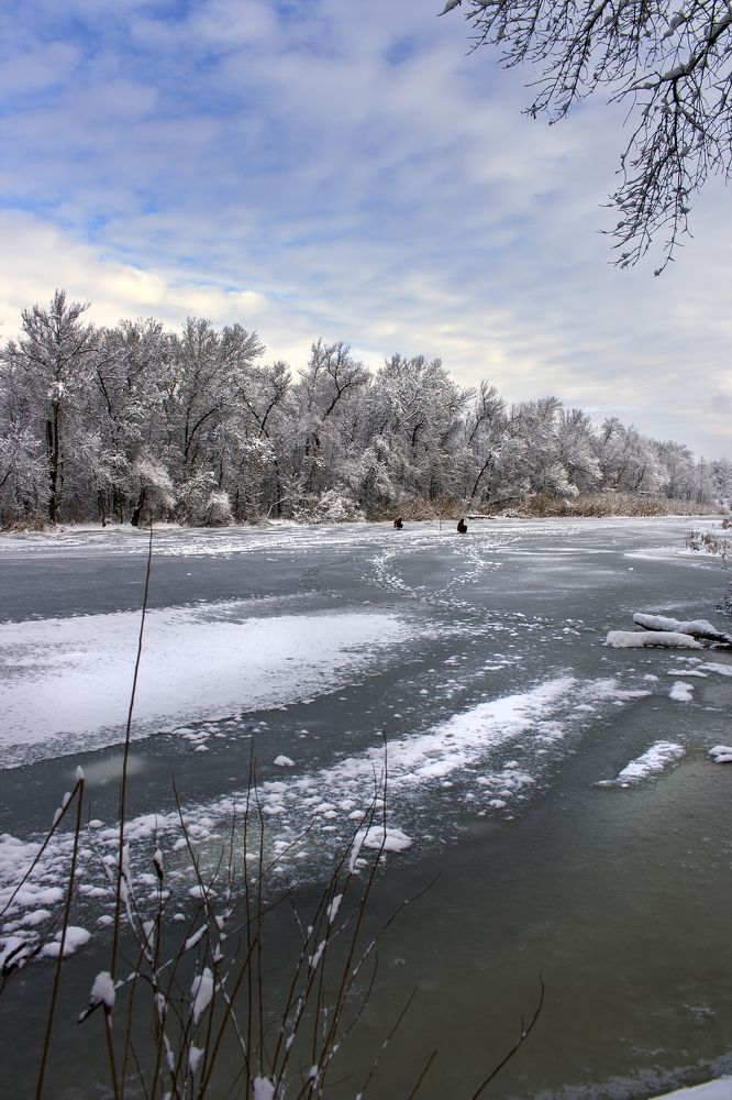 Photograph by Нелли