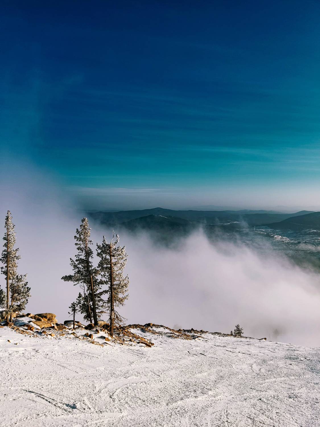 Photo #7147208