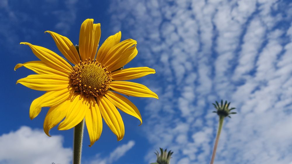 Photograph by Antonio Andrade