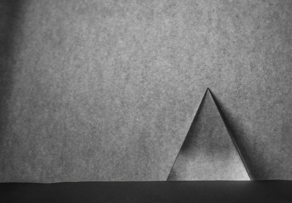 Photograph by Анастасия Чадина