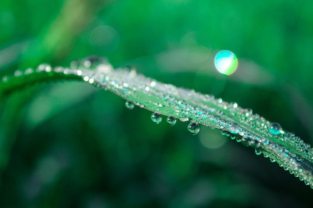 Фотография автора Наталія Савка