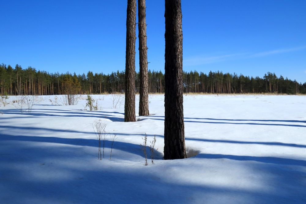 Photograph by Наташа Фишер