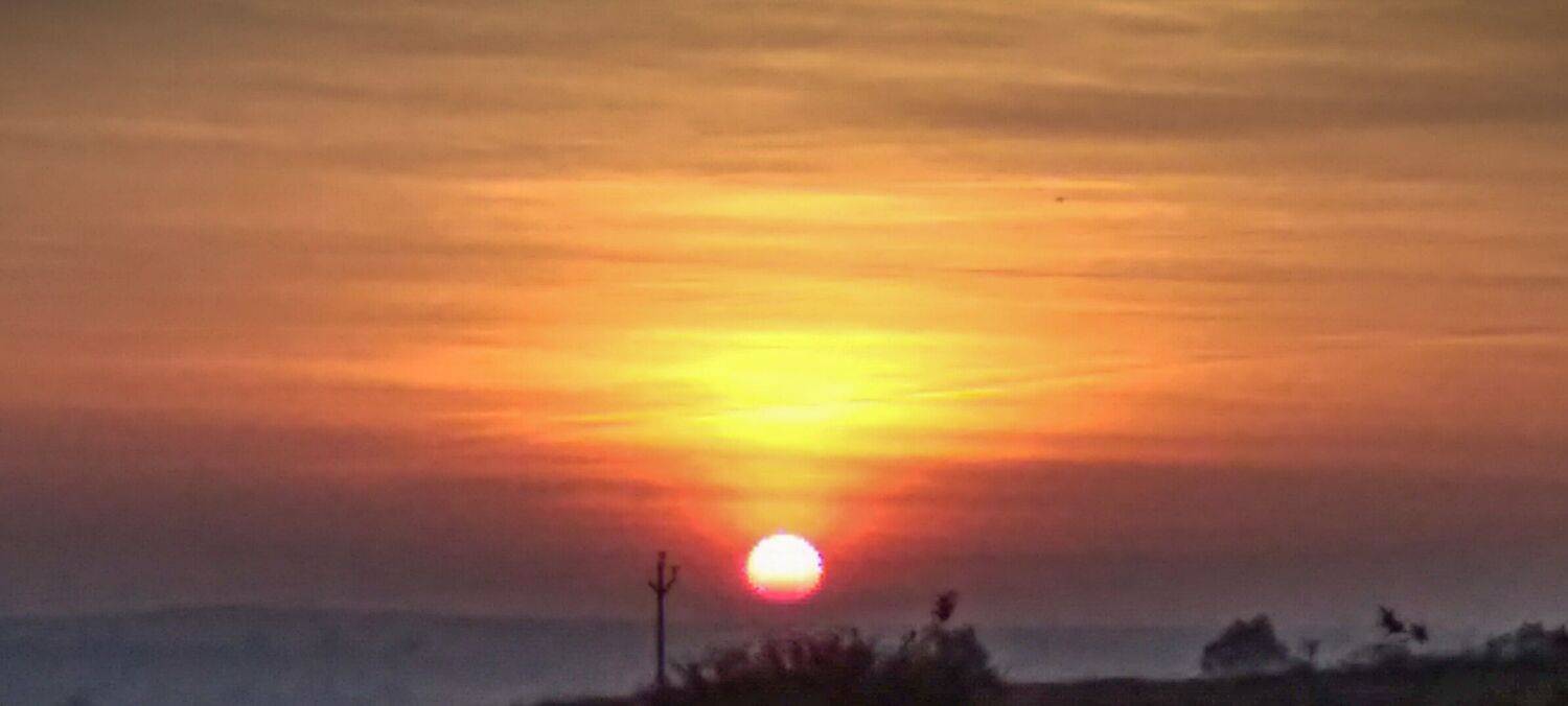 Photo #7147276