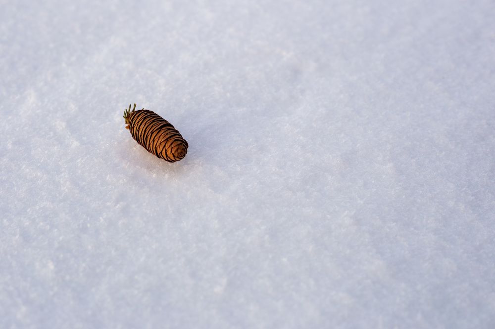 Photograph by Марина Смирнова