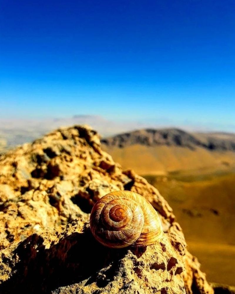 Фотография автора mohammadreza izadi