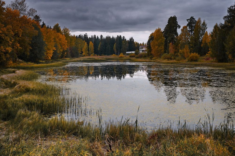 Фотография автора Анатолий Дауров