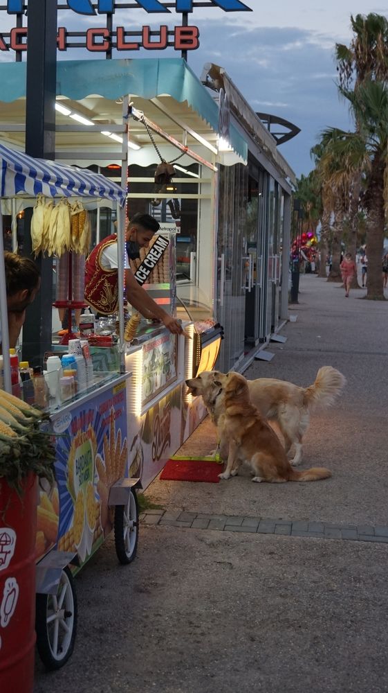 Photograph by Andreas Koff