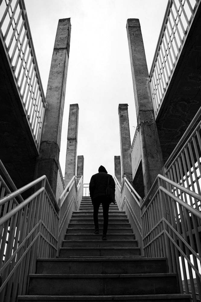 Photograph by mehdi shirvani