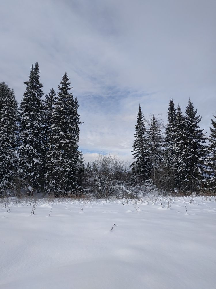 Зима в Сибири