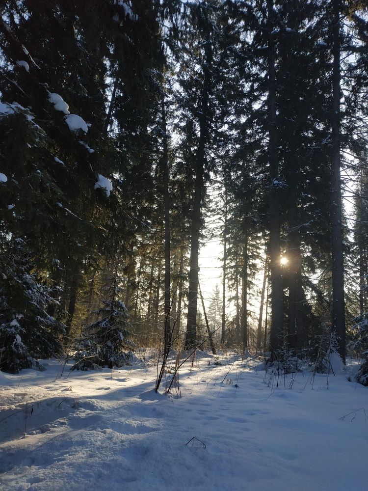 Зима в Сибири