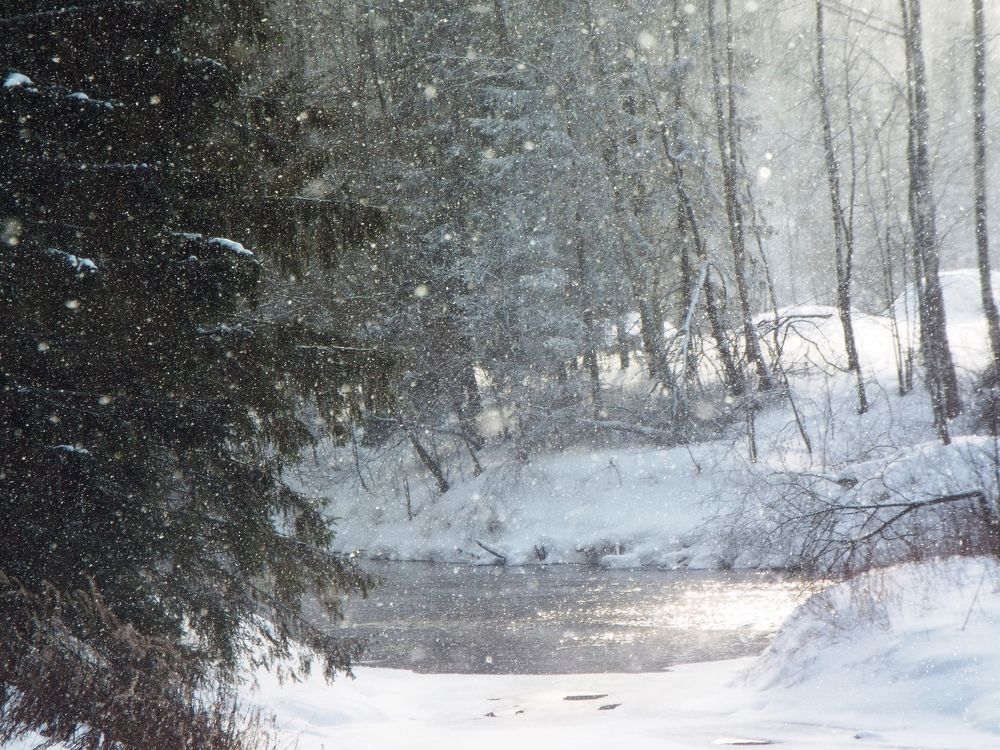 Photograph by Екатерина Нестерова