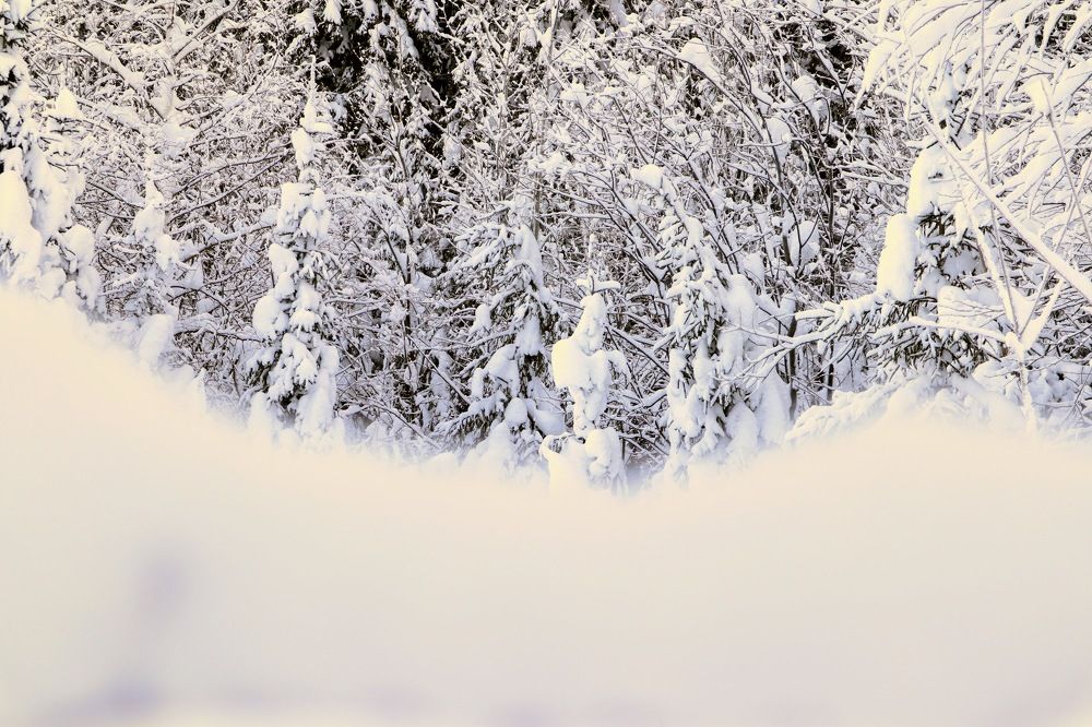 Photograph by Дмитрий Иконников