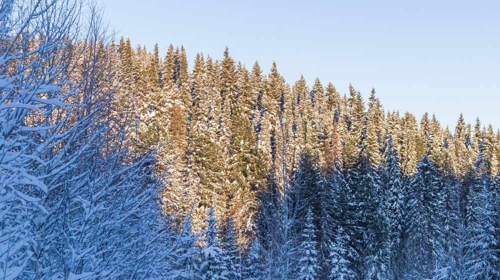 Photograph by Дмитрий Иконников