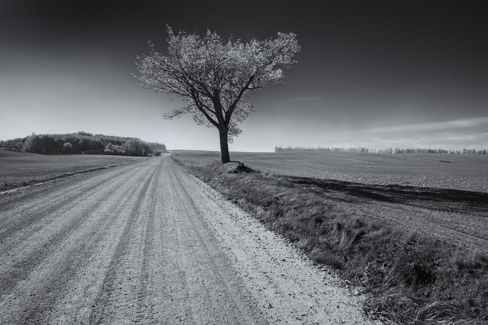 Photograph by Juris Buklovskis