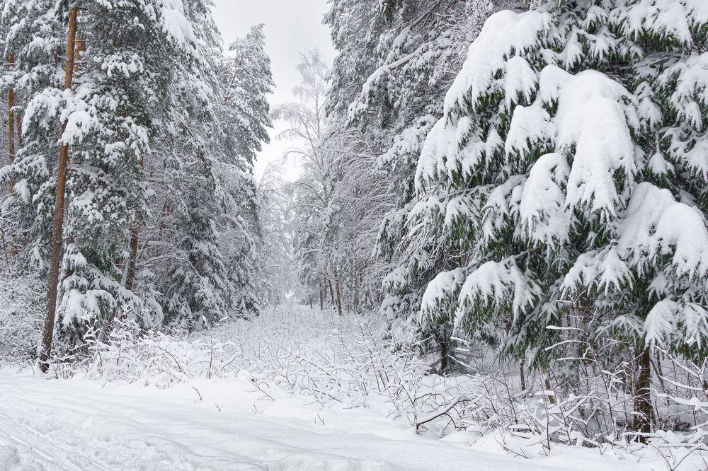 Photograph by Valdis Serzhans