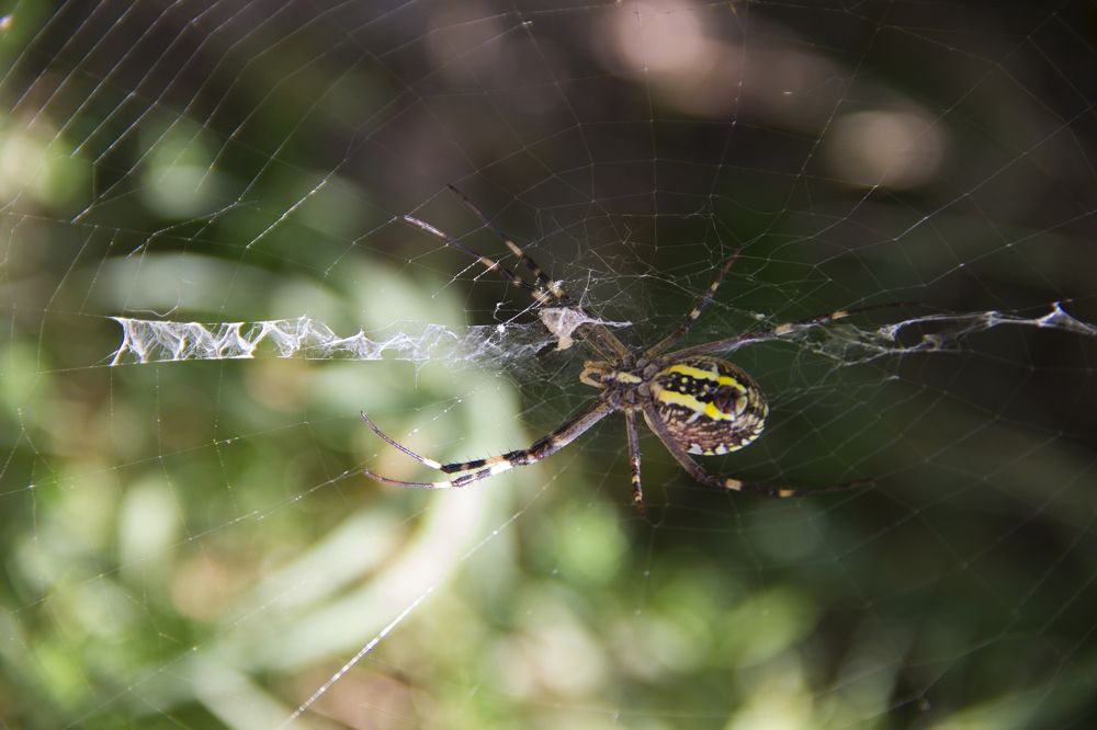 Photograph by Елена Демочкина