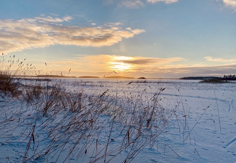 Photograph by Елена Ковалева