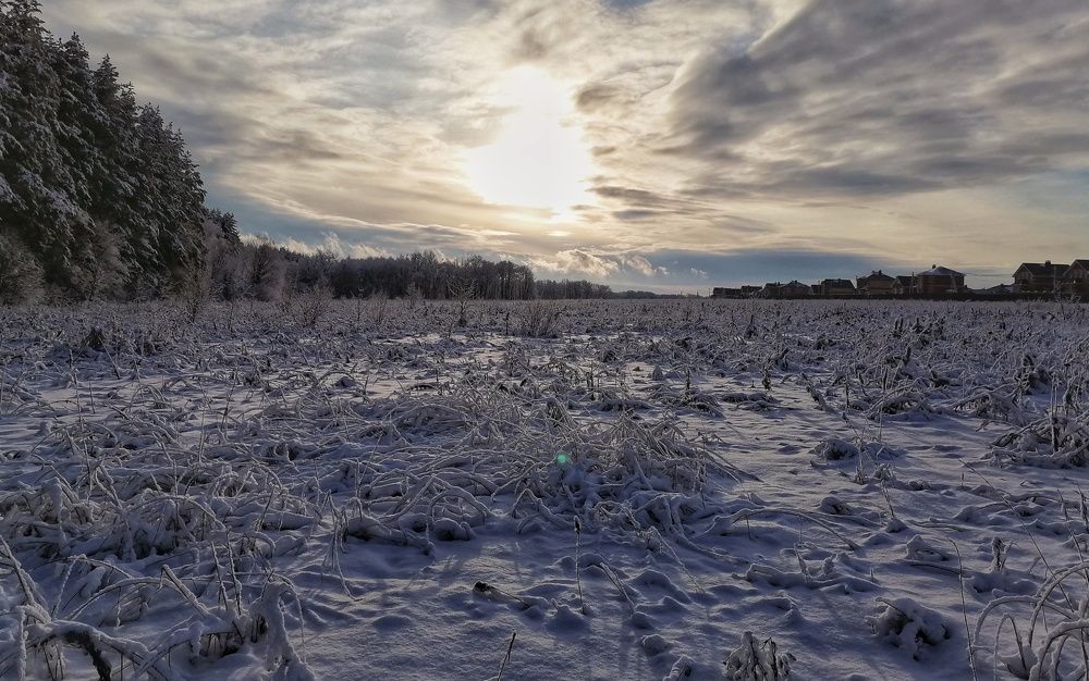 Photograph by Светлана Самойлова