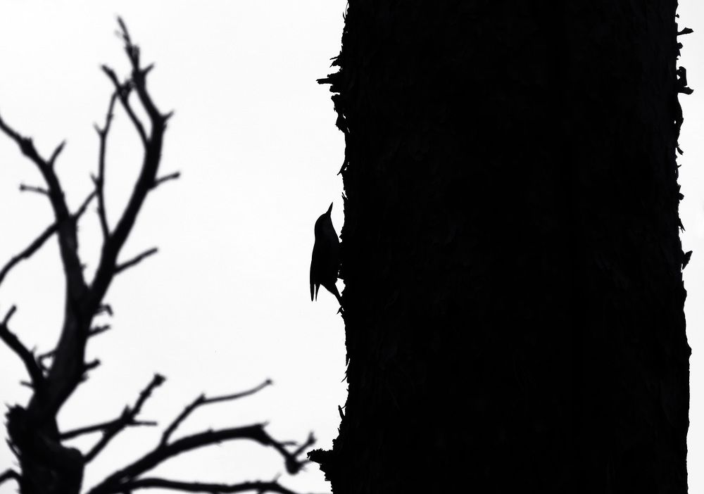 Photograph by Наташа Фишер