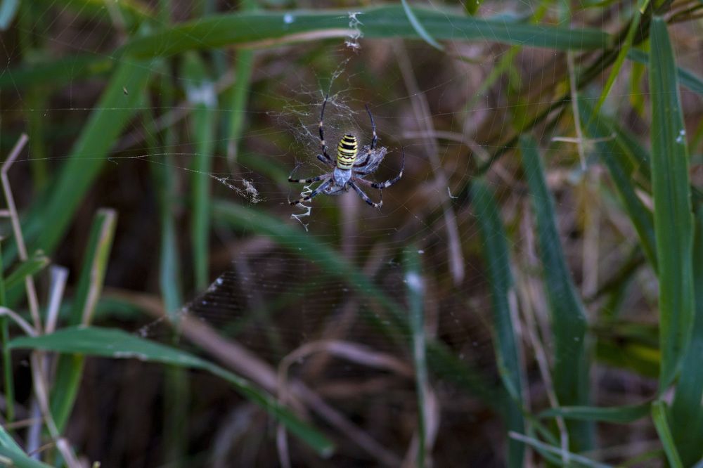 Photograph by Елена Демочкина