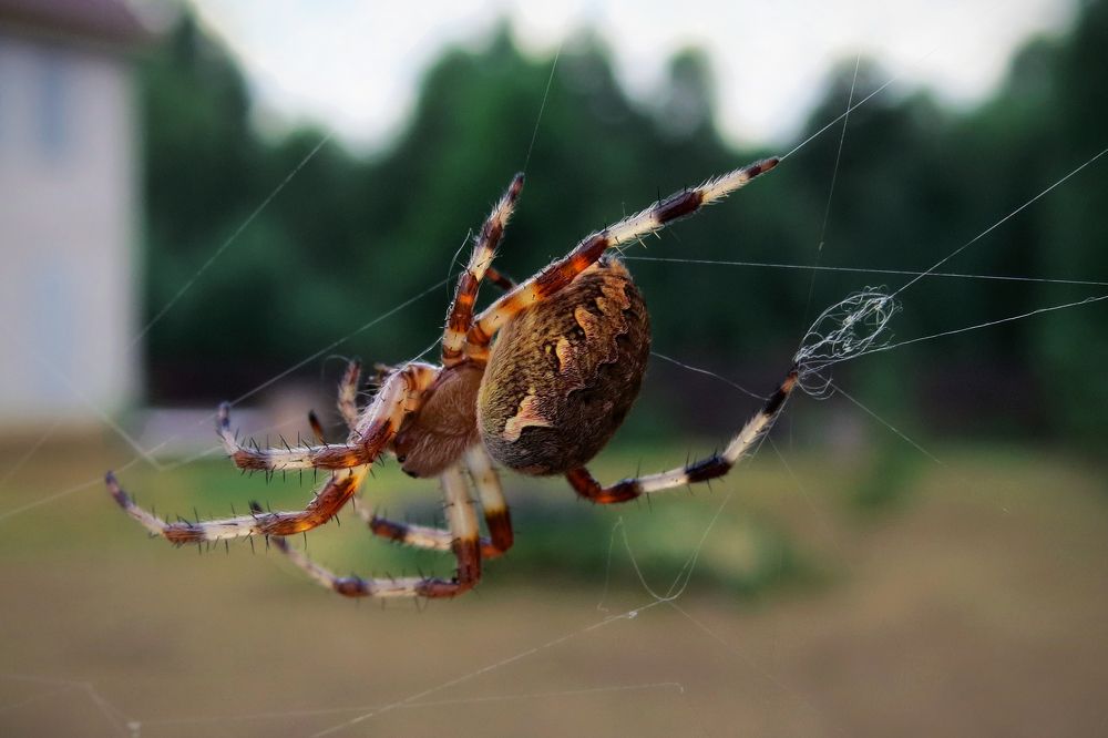 Photograph by Наташа Фишер