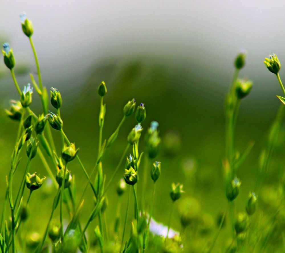 Photograph by Дмитрий Селицкий