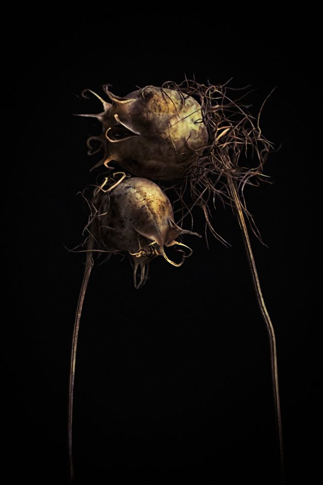 Photograph by Тараненко Анжелика