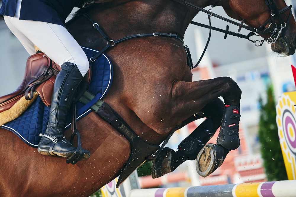 Photograph by Наталья Алексеева